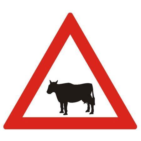 Indicatoare de avertizare 11527 A25