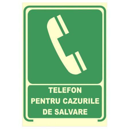 Placute fotoluminescente 15631 ESF-AL01-NSC