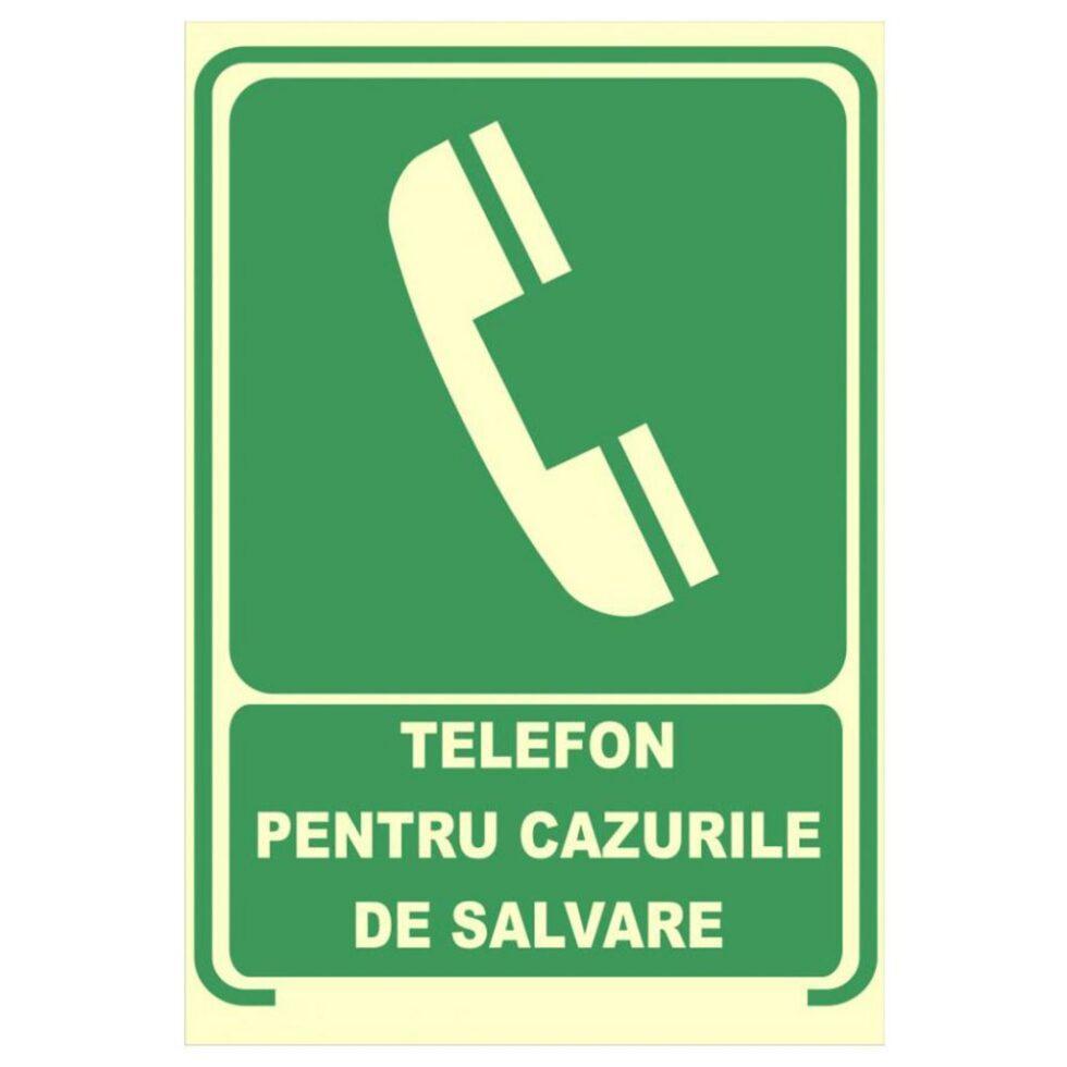 Placute fotoluminescente 15631 ESF-AL01-NSC
